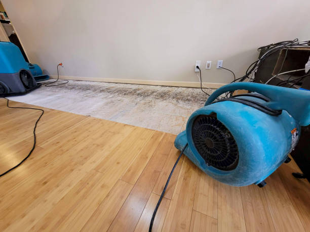 Professional Structural Drying technician working in Venus, TX